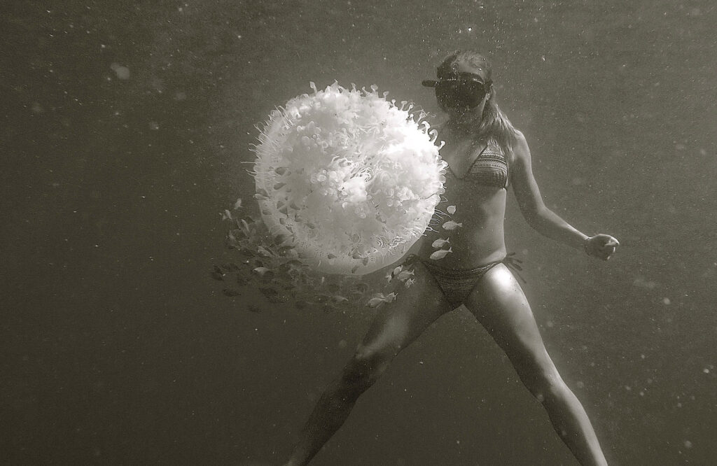 moondance best of underwater photo
